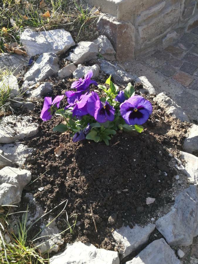 Al Salgiar Leilighet Tuenno Eksteriør bilde